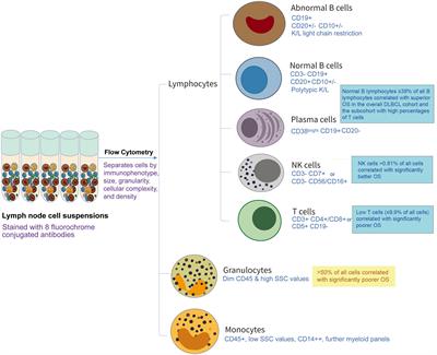 Commentary: Flow cytometry quantification of tumor-infiltrating lymphocytes to predict the survival of patients with diffuse large B-cell lymphoma